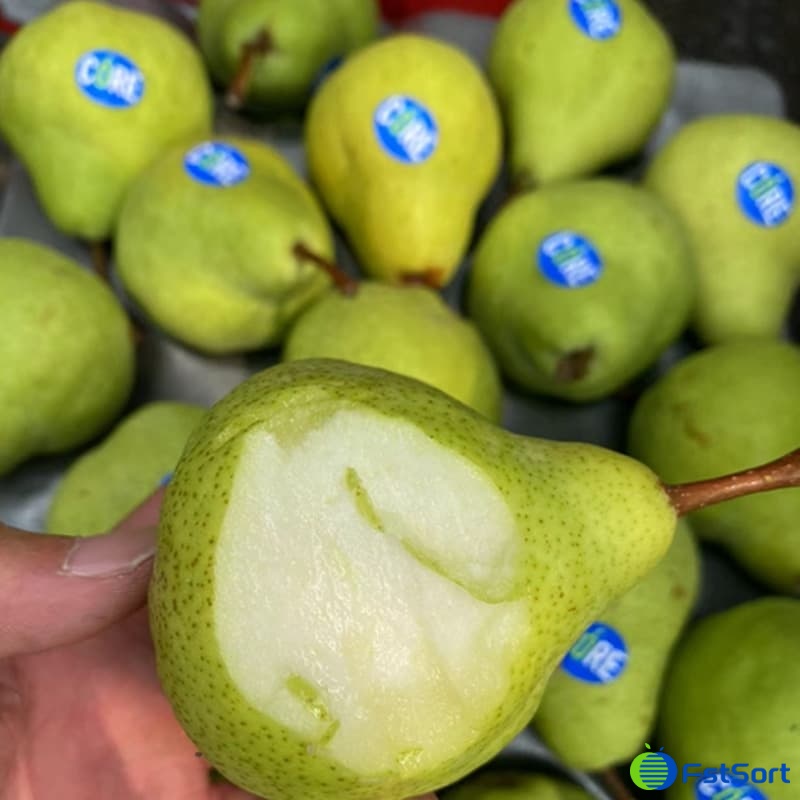 images/1663746175745calibrador de peras1.jpg